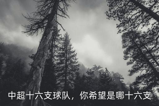 中超十六支球隊，你希望是哪十六支
