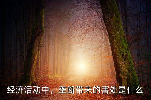 經(jīng)濟(jì)活動(dòng)中，壟斷帶來(lái)的害處是什么