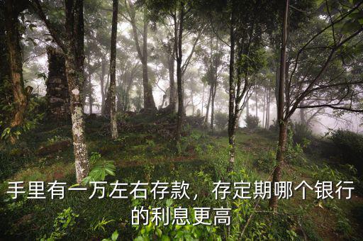 手里有一萬左右存款，存定期哪個銀行的利息更高