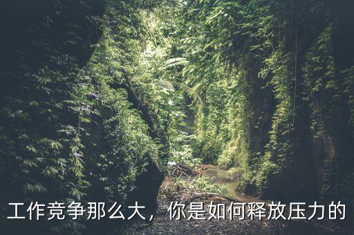 工作競(jìng)爭(zhēng)那么大，你是如何釋放壓力的