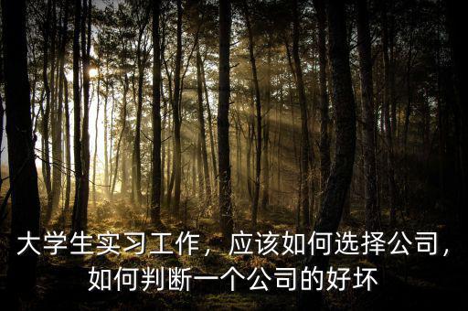 大學生實習工作，應該如何選擇公司，如何判斷一個公司的好壞