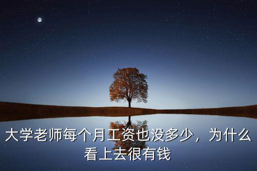 大學(xué)老師每個(gè)月工資也沒多少，為什么看上去很有錢