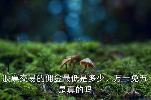 股票交易的傭金最低是多少，萬(wàn)一免五是真的嗎