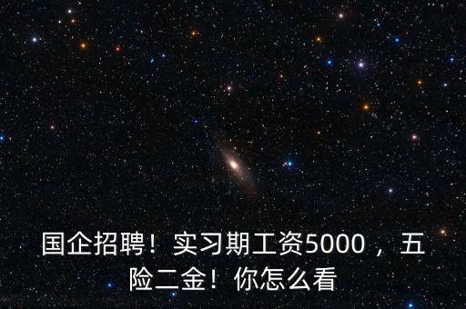 國企招聘！實(shí)習(xí)期工資5000 ，五險二金！你怎么看
