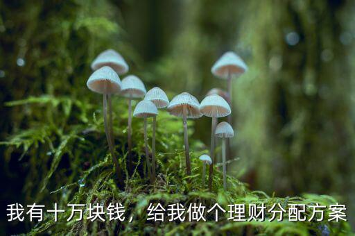 我有十萬塊錢，給我做個理財(cái)分配方案