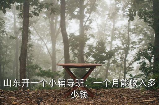 山東開一個(gè)小輔導(dǎo)班，一個(gè)月能收入多少錢