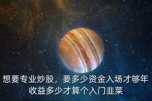 想要專業(yè)炒股，要多少資金入場才夠年收益多少才算個(gè)入門韭菜