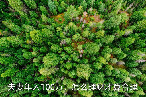 夫妻年入100萬，怎么理財(cái)才算合理