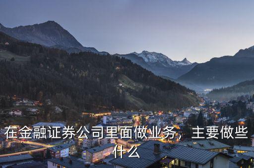 在金融證券公司里面做業(yè)務(wù)，主要做些什么