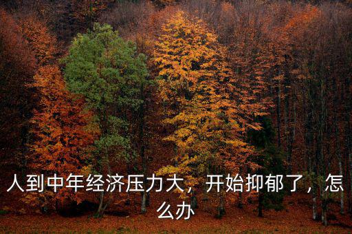 人到中年經(jīng)濟(jì)壓力大，開始抑郁了，怎么辦
