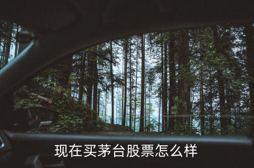 現(xiàn)在買(mǎi)茅臺(tái)股票怎么樣
