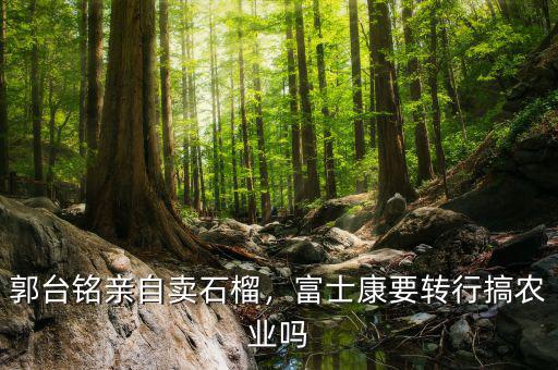 郭臺(tái)銘親自賣(mài)石榴，富士康要轉(zhuǎn)行搞農(nóng)業(yè)嗎