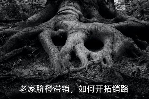 老家臍橙滯銷，如何開拓銷路