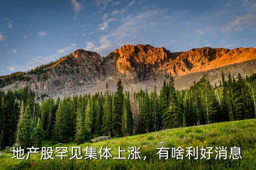 地產(chǎn)股罕見集體上漲，有啥利好消息