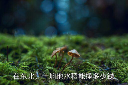 在東北，一坰地水稻能掙多少錢