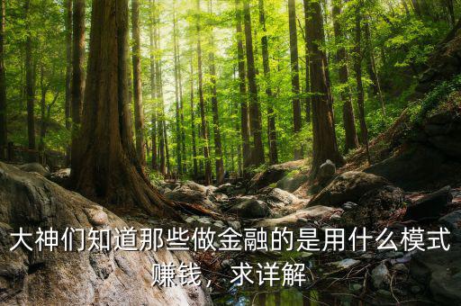 大神們知道那些做金融的是用什么模式賺錢，求詳解