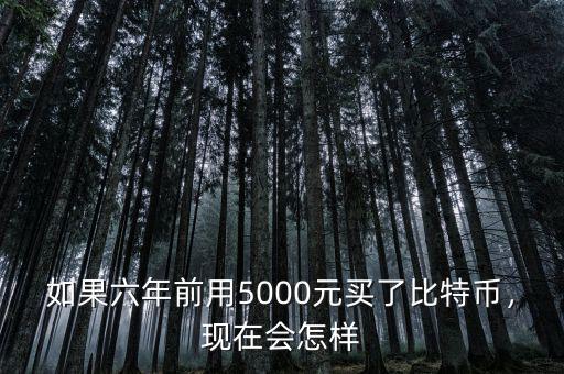 如果六年前用5000元買了比特幣，現在會怎樣