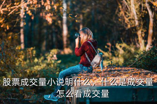 股票成交量小說(shuō)明什么，什么是成交量，怎么看成交量