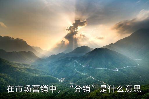 在市場(chǎng)營(yíng)銷中，“分銷”是什么意思