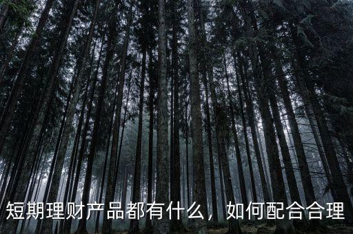 短期理財(cái)產(chǎn)品都有什么，如何配合合理