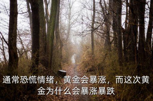 通常恐慌情緒，黃金會暴漲，而這次黃金為什么會暴漲暴跌