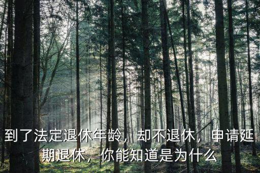 到了法定退休年齡，卻不退休，申請延期退休，你能知道是為什么