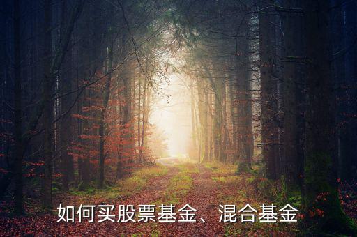如何買(mǎi)股票基金、混合基金
