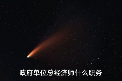 政府單位總經(jīng)濟師什么職務