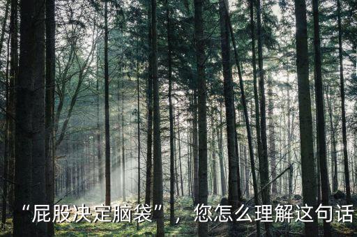 “屁股決定腦袋”，您怎么理解這句話