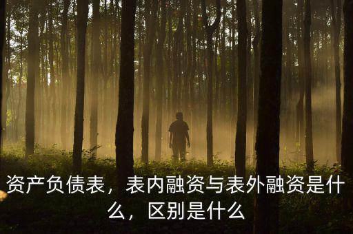 資產(chǎn)負債表，表內(nèi)融資與表外融資是什么，區(qū)別是什么