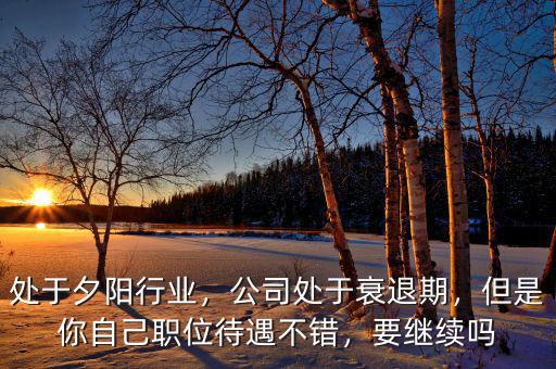 處于夕陽行業(yè)，公司處于衰退期，但是你自己職位待遇不錯，要繼續(xù)嗎