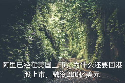 阿里已經(jīng)在美國上市，為什么還要回港股上市，融資200億美元