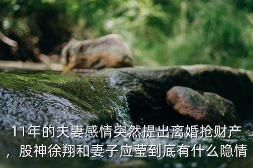 11年的夫妻感情突然提出離婚搶財產(chǎn)，股神徐翔和妻子應(yīng)瑩到底有什么隱情