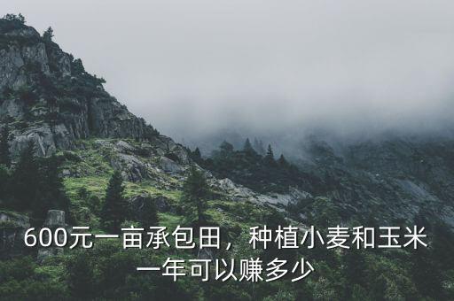 600元一畝承包田，種植小麥和玉米一年可以賺多少