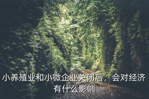 小養(yǎng)殖業(yè)和小微企業(yè)關(guān)閉后，會(huì)對(duì)經(jīng)濟(jì)有什么影響