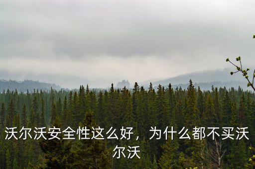 沃爾沃安全性這么好，為什么都不買沃爾沃