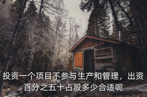 投資一個(gè)項(xiàng)目不參與生產(chǎn)和管理，出資百分之五十占股多少合適呢