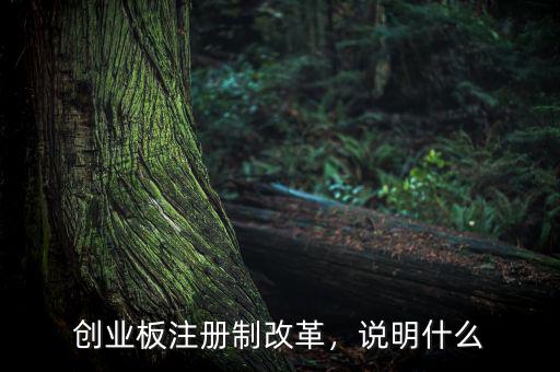 創(chuàng)業(yè)板注冊制改革，說明什么