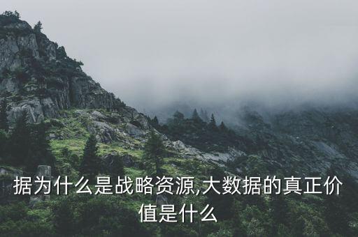大數據為什么是戰(zhàn)略資源,大數據的真正價值是什么