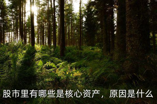股市里有哪些是核心資產(chǎn)，原因是什么