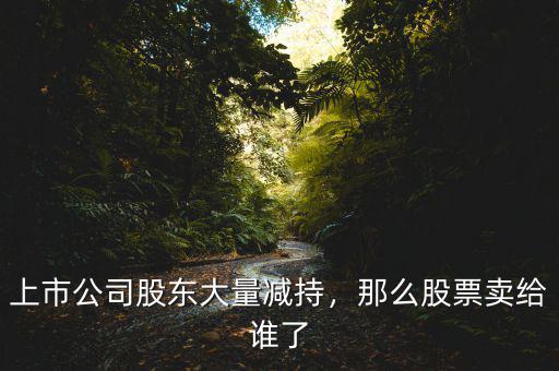 上市公司股東大量減持，那么股票賣給誰(shuí)了