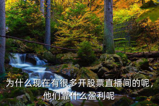 為什么現(xiàn)在有很多開股票直播間的呢，他們靠什么盈利呢