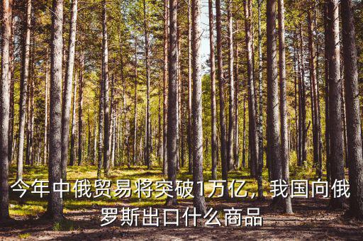 今年中俄貿易將突破1萬億，我國向俄羅斯出口什么商品