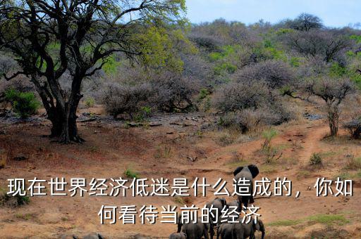 現(xiàn)在世界經(jīng)濟(jì)低迷是什么造成的，你如何看待當(dāng)前的經(jīng)濟(jì)
