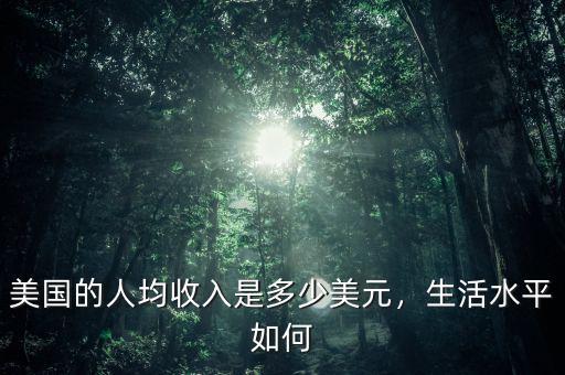 美國(guó)的人均收入是多少美元，生活水平如何