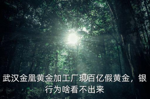 武漢金凰黃金加工廠現(xiàn)百億假黃金，銀行為啥看不出來