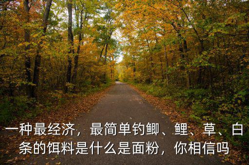 一種最經(jīng)濟，最簡單釣鯽、鯉、草、白條的餌料是什么是面粉，你相信嗎