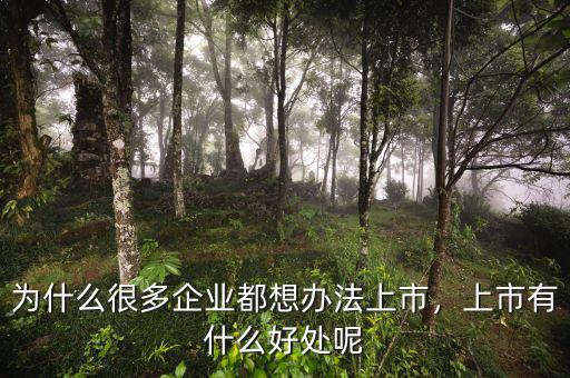 為什么很多企業(yè)都想辦法上市，上市有什么好處呢