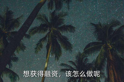 想獲得融資，該怎么做呢