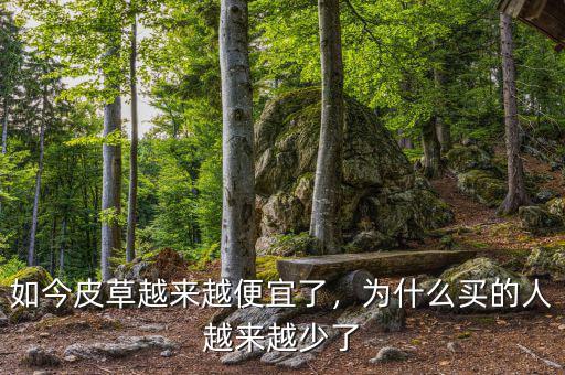 如今皮草越來越便宜了，為什么買的人越來越少了
